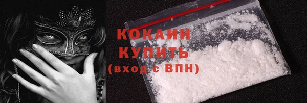 шишки Богородск