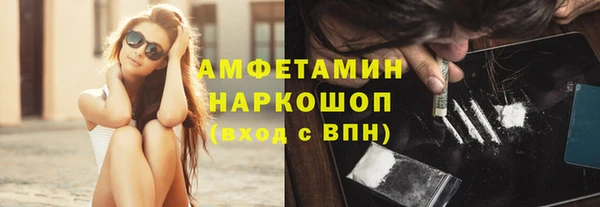 твердый Гатчина