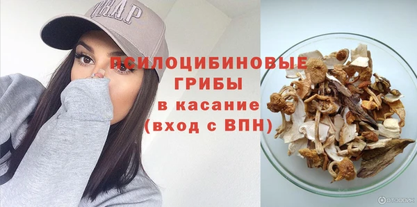 2c-b Рославль