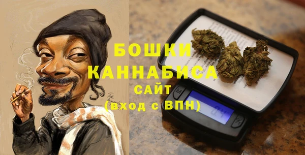 шишки Богородск